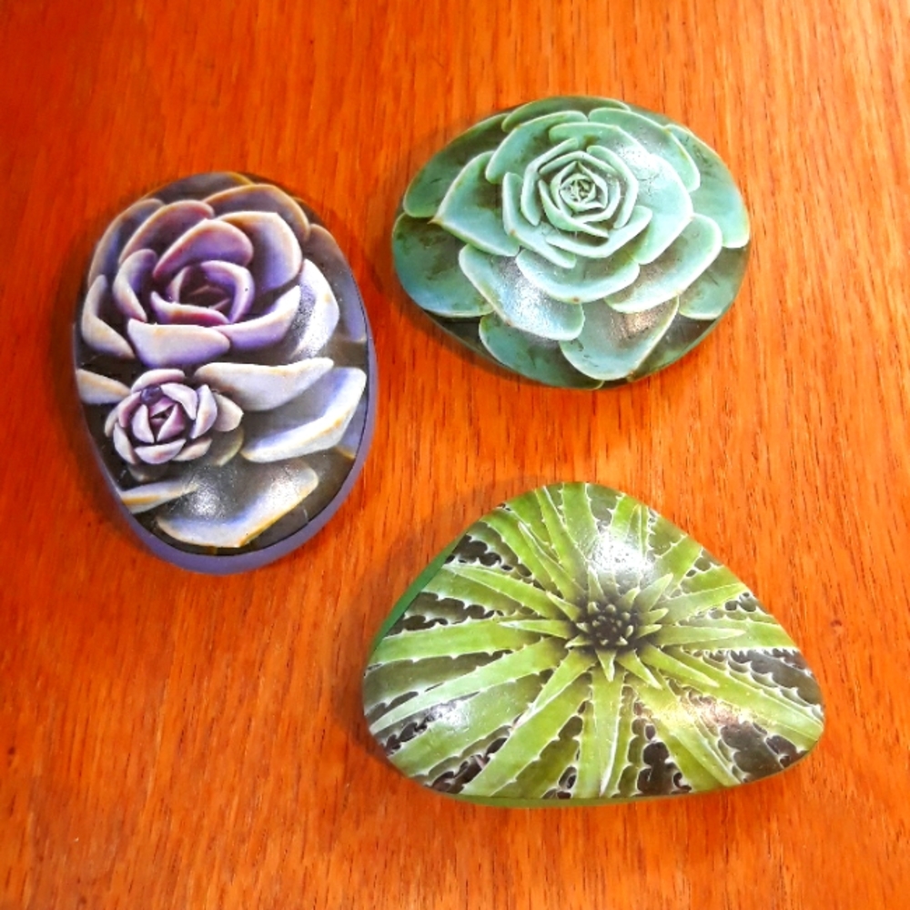 Succulent Art Rocks New